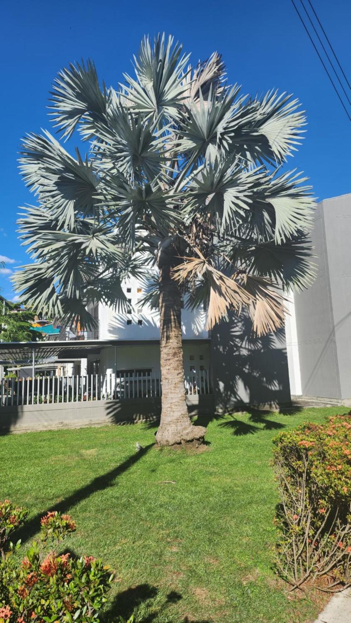 Apartasol Club Ciudadela Santa Fe - Santa Fe De Antioquia Zewnętrze zdjęcie